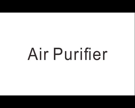 2024 True HEPA Filter Ionizer Most Popular Air Purifier